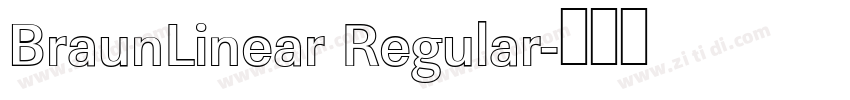 BraunLinear Regular字体转换